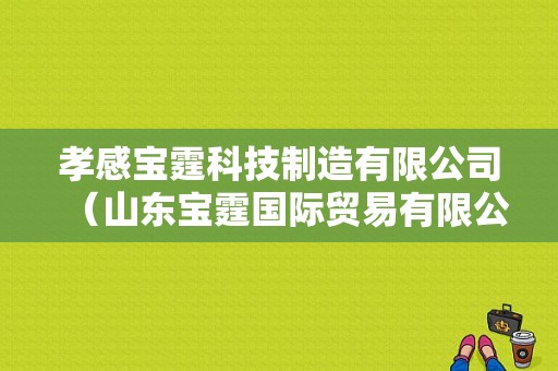 孝感宝霆科技制造有限公司（山东宝霆国际贸易有限公司电话?）