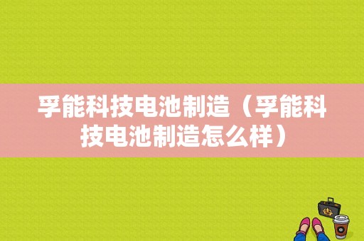 孚能科技电池制造（孚能科技电池制造怎么样）