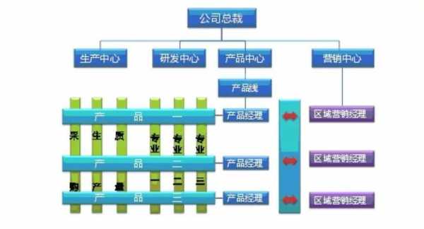 高科技制造公司的组织结构（高科技企业的组织设计）