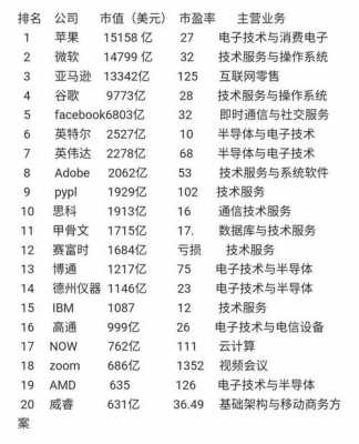 美国十大科技制造公司（美国科技公司排名100十大科技顶尖公司）