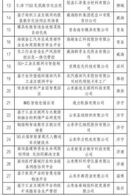 科技制造龙头企业名单公示（科技制造业公司）