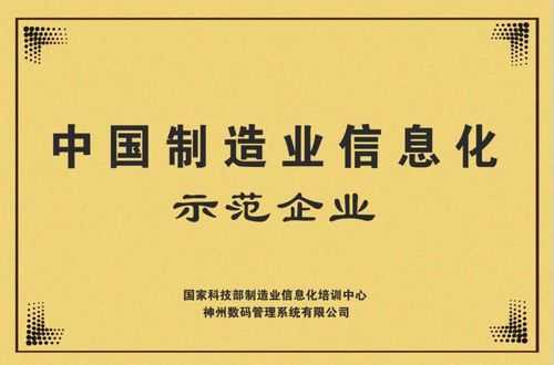 中国高科技信息制造业（国内信息技术领军企业）