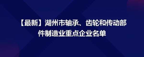 湖州高科技制造企业名单（湖州制造业企业排名）