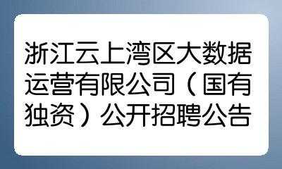 湾区制造科技有限公司（湾区制造科技有限公司招聘）