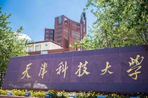 天津科技大学德国制造（天津科技大学全球排名）