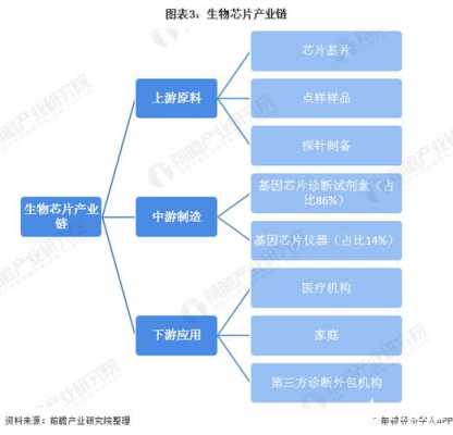 制造业和生物科技投资比例（生物制造产业主要包括）