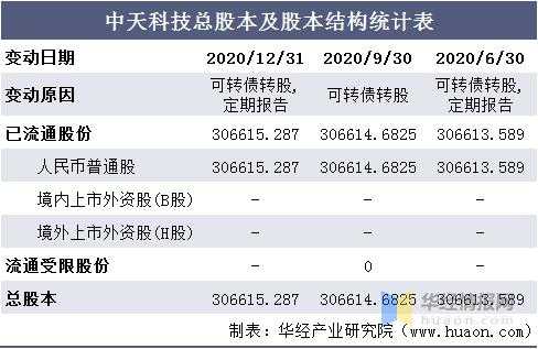 中天科技单项制造冠军（中天科技2020）