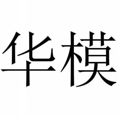 湖南华模科技制造有限公司（湖南华模科技制造有限公司怎么样）